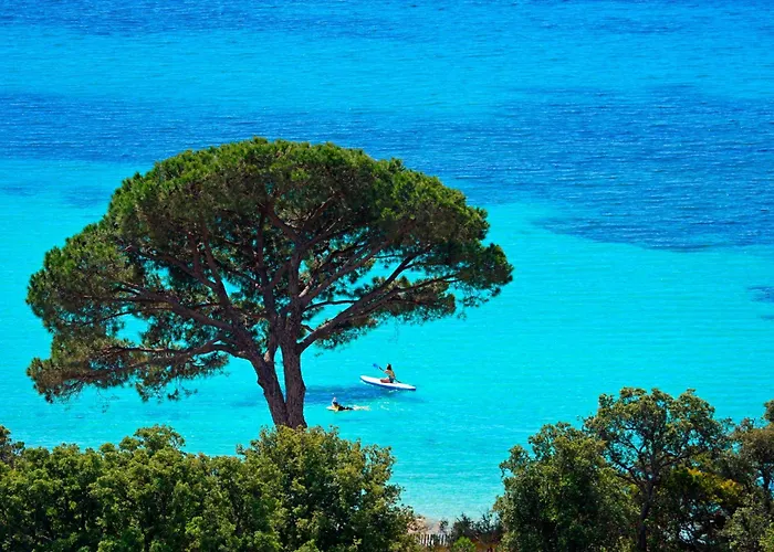 Апартаменты Eden Cala Rossa 3 Et Grande Terrasse Dans Hoteliere Fiori Di Cala Rossa A Lecci, Avec Grande Piscine Chauffee *