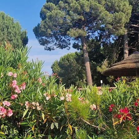Eden Cala Rossa 3 Et Grande Terrasse Dans Hoteliere Fiori Di Cala Rossa A