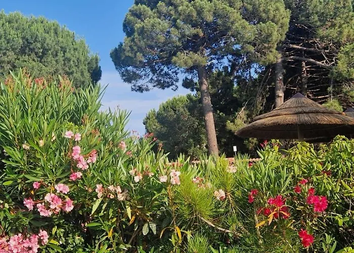 Eden Cala Rossa 3 Et Grande Terrasse Dans Hoteliere Fiori Di Cala Rossa A